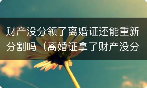 财产没分领了离婚证还能重新分割吗（离婚证拿了财产没分）