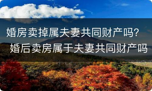 婚房卖掉属夫妻共同财产吗？ 婚后卖房属于夫妻共同财产吗