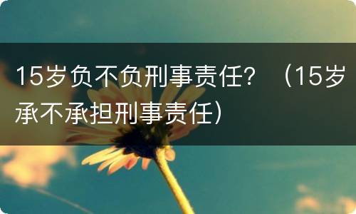 15岁负不负刑事责任？（15岁承不承担刑事责任）
