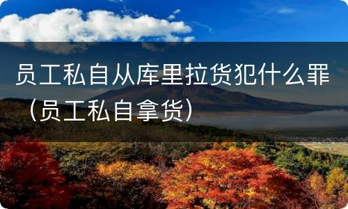 员工私自从库里拉货犯什么罪（员工私自拿货）