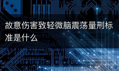 故意伤害致轻微脑震荡量刑标准是什么