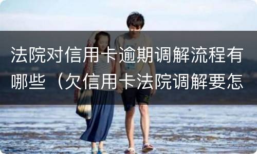 法院对信用卡逾期调解流程有哪些（欠信用卡法院调解要怎么还）