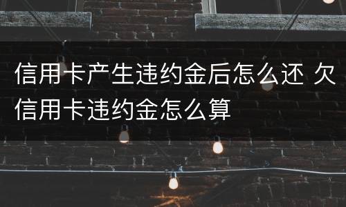 信用卡产生违约金后怎么还 欠信用卡违约金怎么算