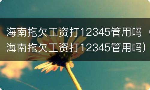 海南拖欠工资打12345管用吗（海南拖欠工资打12345管用吗）