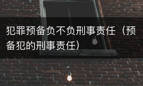 犯罪预备负不负刑事责任（预备犯的刑事责任）