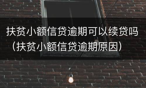 扶贫小额信贷逾期可以续贷吗（扶贫小额信贷逾期原因）