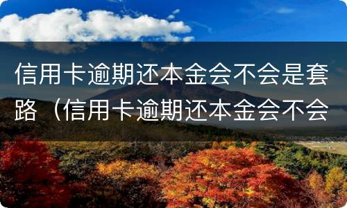 信用卡逾期还本金会不会是套路（信用卡逾期还本金会不会是套路贷呀）