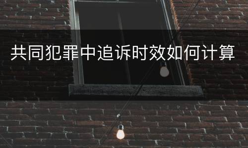 共同犯罪中追诉时效如何计算