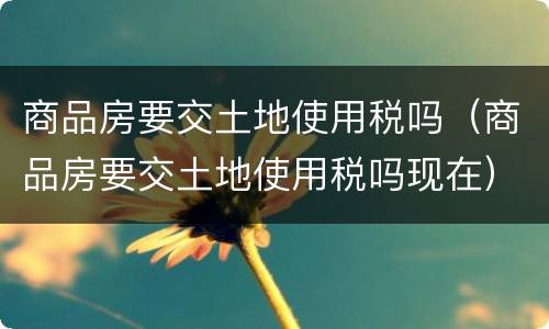 商品房要交土地使用税吗（商品房要交土地使用税吗现在）