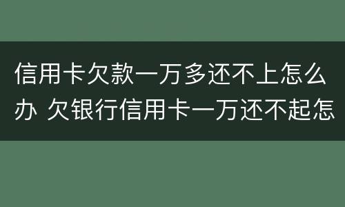 信用卡欠款一万多还不上怎么办 欠银行信用卡一万还不起怎么办