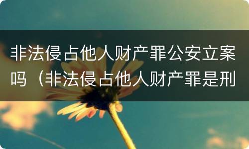 非法侵占他人财产罪公安立案吗（非法侵占他人财产罪是刑事案件吗）
