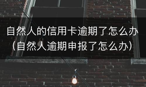 自然人的信用卡逾期了怎么办（自然人逾期申报了怎么办）
