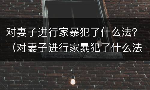 对妻子进行家暴犯了什么法？（对妻子进行家暴犯了什么法规）