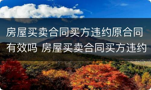 房屋买卖合同买方违约原合同有效吗 房屋买卖合同买方违约原合同有效吗