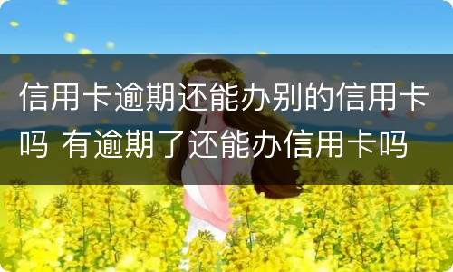 信用卡逾期还能办别的信用卡吗 有逾期了还能办信用卡吗