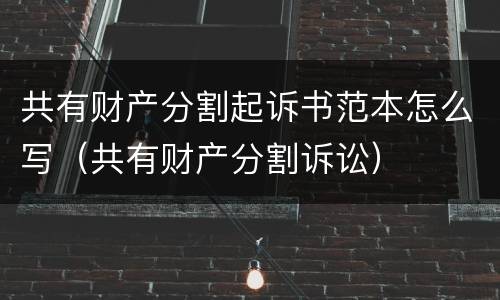 共有财产分割起诉书范本怎么写（共有财产分割诉讼）