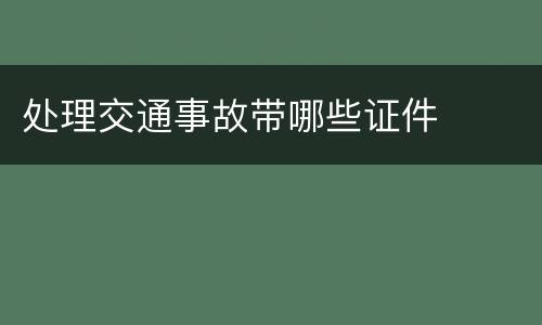处理交通事故带哪些证件