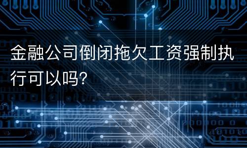 金融公司倒闭拖欠工资强制执行可以吗？