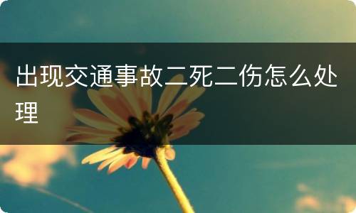 出现交通事故二死二伤怎么处理