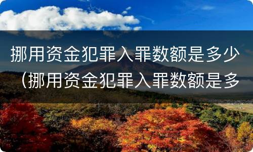 挪用资金犯罪入罪数额是多少（挪用资金犯罪入罪数额是多少元）