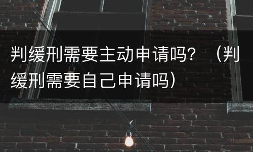 判缓刑需要主动申请吗？（判缓刑需要自己申请吗）