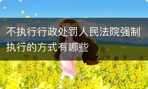 不执行行政处罚人民法院强制执行的方式有哪些