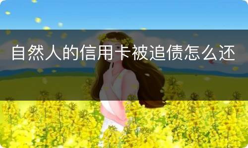 自然人的信用卡被追债怎么还