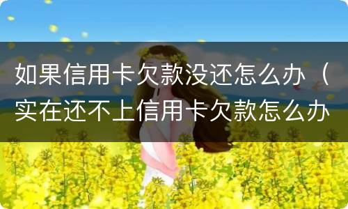 如果信用卡欠款没还怎么办（实在还不上信用卡欠款怎么办）