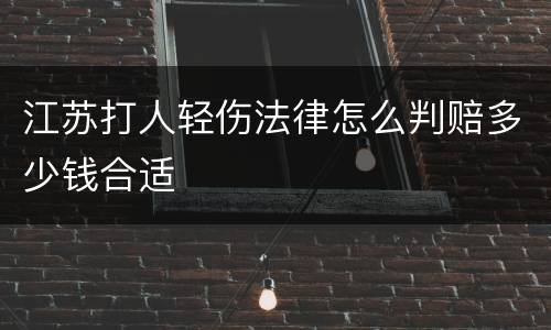 江苏打人轻伤法律怎么判赔多少钱合适