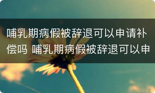 哺乳期病假被辞退可以申请补偿吗 哺乳期病假被辞退可以申请补偿吗合法吗