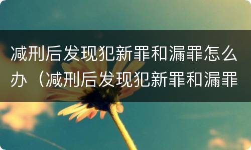减刑后发现犯新罪和漏罪怎么办（减刑后发现犯新罪和漏罪怎么办理）