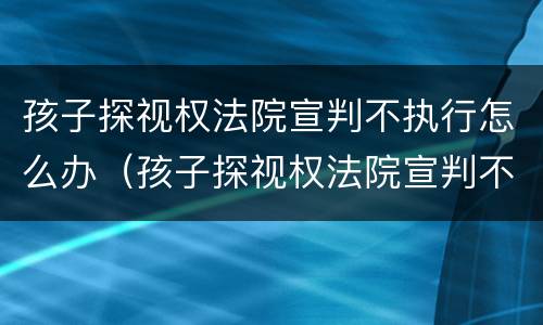 孩子探视权法院宣判不执行怎么办（孩子探视权法院宣判不执行怎么办呢）