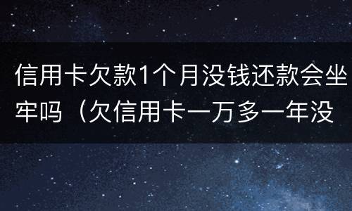 信用卡欠款1个月没钱还款会坐牢吗（欠信用卡一万多一年没还会不会坐牢）