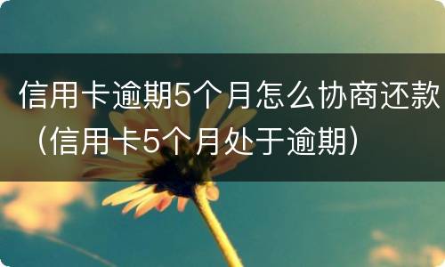 信用卡逾期5个月怎么协商还款（信用卡5个月处于逾期）