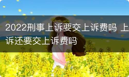 2022刑事上诉要交上诉费吗 上诉还要交上诉费吗