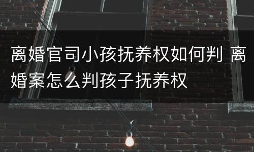 离婚官司小孩抚养权如何判 离婚案怎么判孩子抚养权