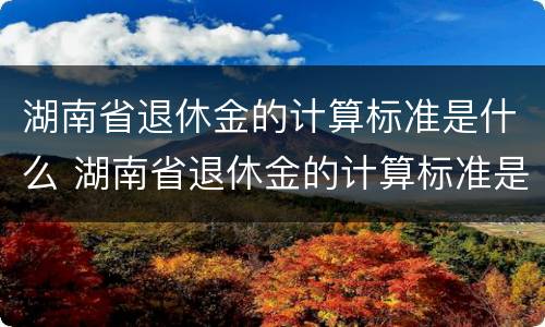 湖南省退休金的计算标准是什么 湖南省退休金的计算标准是什么呢