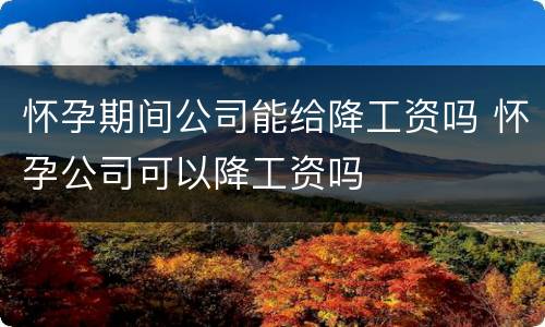 怀孕期间公司能给降工资吗 怀孕公司可以降工资吗