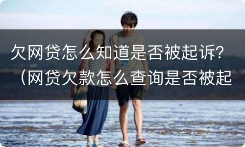 欠网贷怎么知道是否被起诉？（网贷欠款怎么查询是否被起诉）