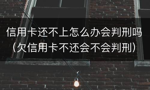 信用卡还不上怎么办会判刑吗（欠信用卡不还会不会判刑）