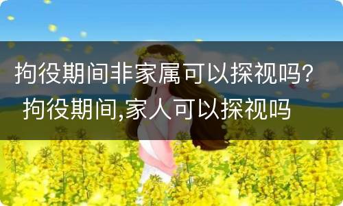 拘役期间非家属可以探视吗？ 拘役期间,家人可以探视吗