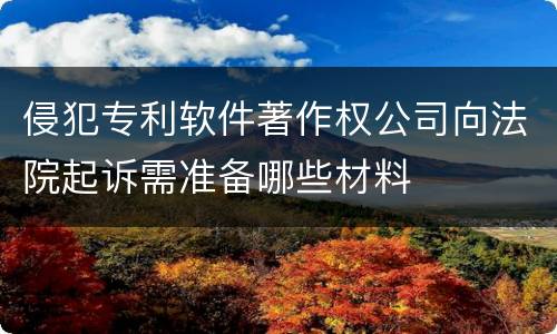 侵犯专利软件著作权公司向法院起诉需准备哪些材料