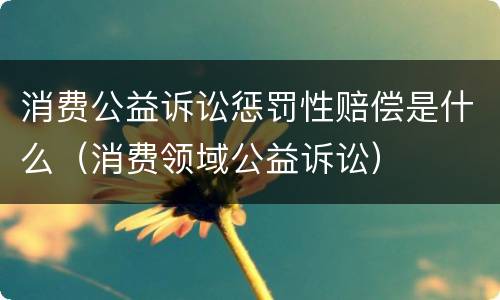 消费公益诉讼惩罚性赔偿是什么（消费领域公益诉讼）