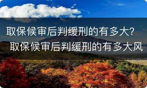 取保候审后判缓刑的有多大？ 取保候审后判缓刑的有多大风险
