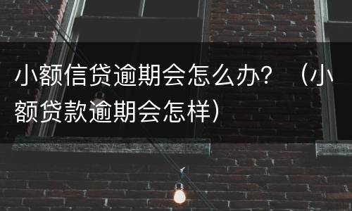 小额信贷逾期会怎么办？（小额贷款逾期会怎样）