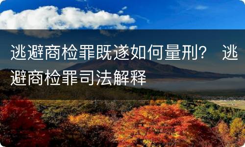 逃避商检罪既遂如何量刑？ 逃避商检罪司法解释