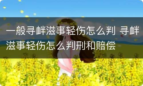 一般寻衅滋事轻伤怎么判 寻衅滋事轻伤怎么判刑和赔偿