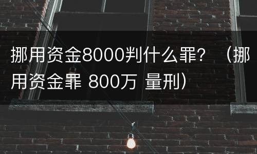 挪用资金8000判什么罪？（挪用资金罪 800万 量刑）