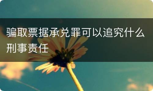 骗取票据承兑罪可以追究什么刑事责任