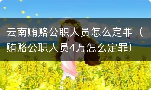 云南贿赂公职人员怎么定罪（贿赂公职人员4万怎么定罪）